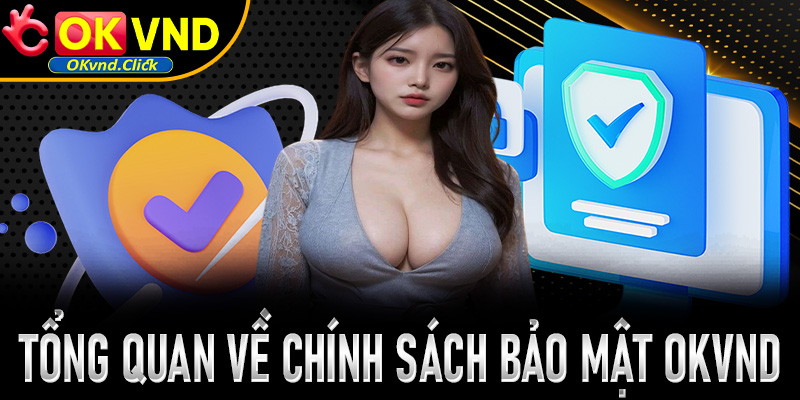 Tổng quan chung về chính sách bảo mật Okvnd