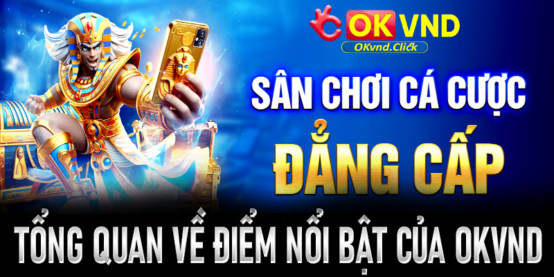 Tổng quan về những điểm nổi bật của nhà cái Okvnd