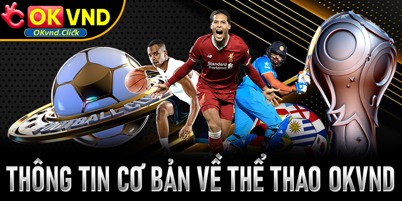 Sơ lược một vài thông tin cơ bản về thể thao Okvnd