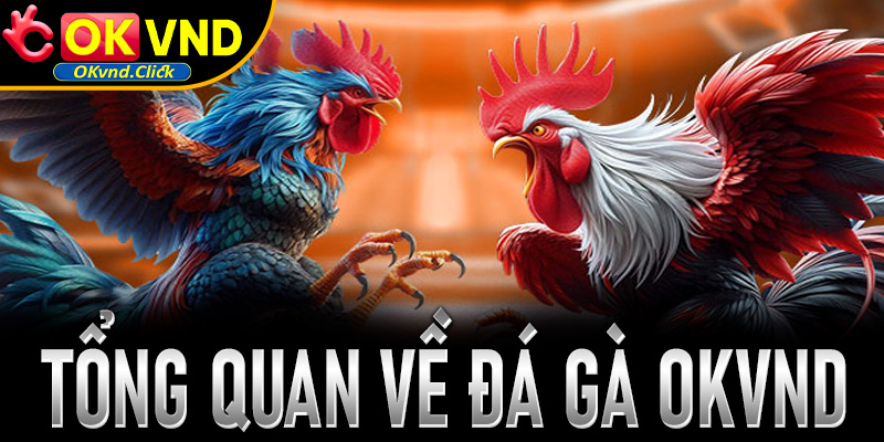 Tìm hiểu thông tin tổng quan về sân chơi đá gà OKvnd