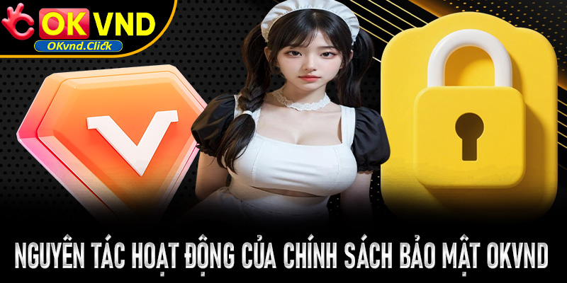 Nguyên tác hoạt động của chính sách bảo mật Okvnd