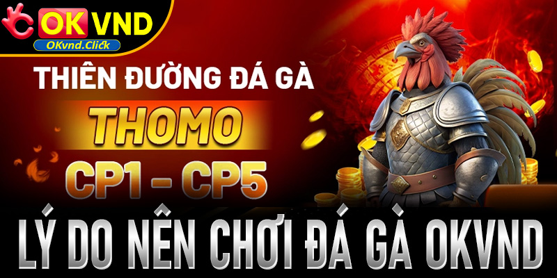 Lý do người chơi nên tham gia chơi đá gà OKvnd