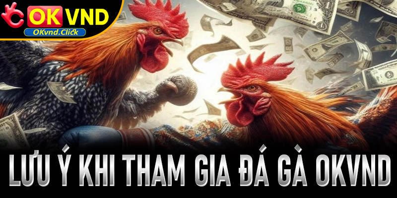 Lưu ý quan trọng khi tham gia chơi đá gà OKvnd cho người mới