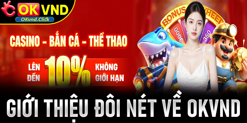 Giới thiệu đôi nét về okvnd